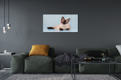 Quadro di vetro Gatto bugiardo