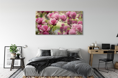 Quadro in vetro Fiori d'albero