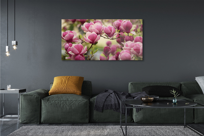 Quadro in vetro Fiori d'albero