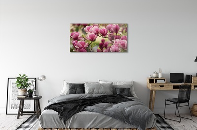 Quadro in vetro Fiori d'albero