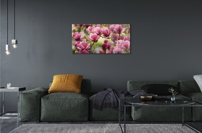 Quadro in vetro Fiori d'albero