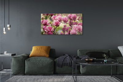 Quadro in vetro Fiori d'albero