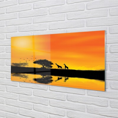 Quadro in vetro Giraffe lago albero ovest