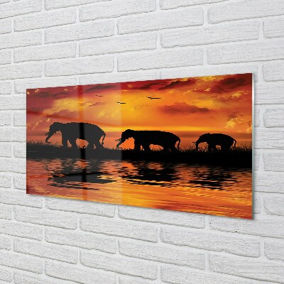 Quadro in vetro Lago dell'elefante occidentale