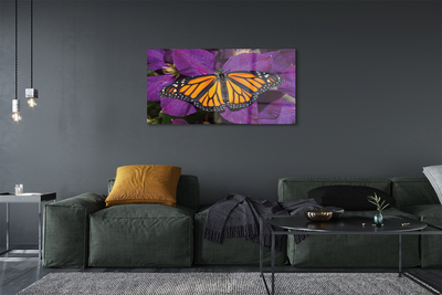 Quadro su vetro Fiori di farfalla colorati