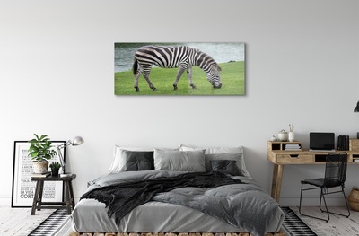 Quadro su vetro Zebra