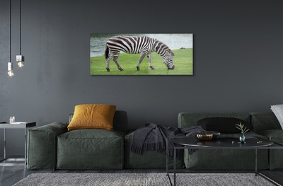 Quadro su vetro Zebra