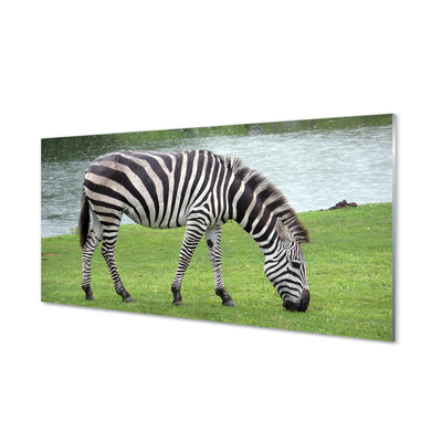 Quadro su vetro Zebra