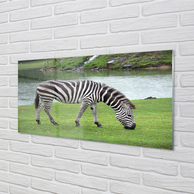 Quadro su vetro Zebra