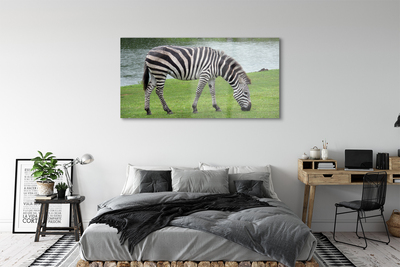 Quadro su vetro Zebra