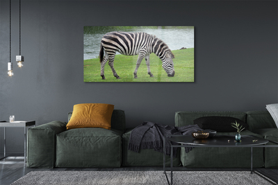 Quadro su vetro Zebra