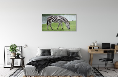 Quadro su vetro Zebra