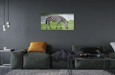 Quadro su vetro Zebra