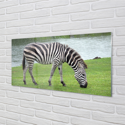 Quadro su vetro Zebra