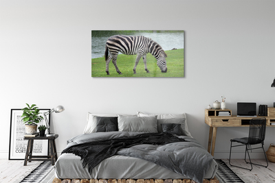 Quadro su vetro Zebra