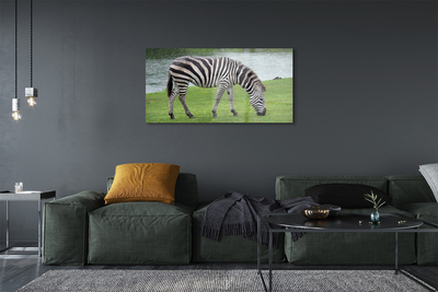 Quadro su vetro Zebra