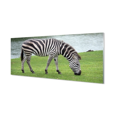 Quadro su vetro Zebra