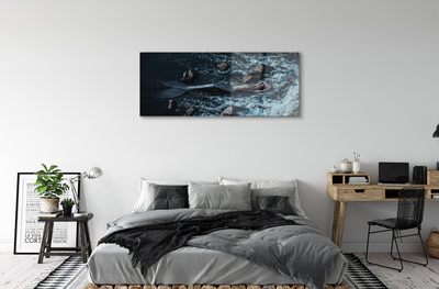 Quadro in vetro Mare di sirena