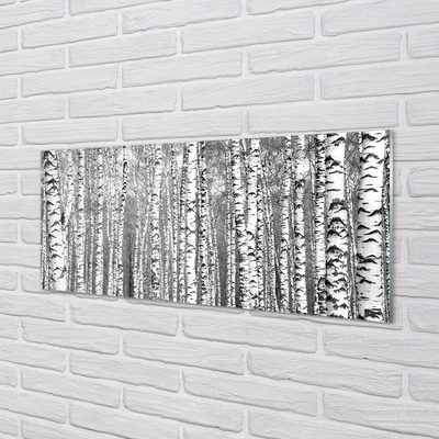 Quadro in vetro Alberi in bianco e nero