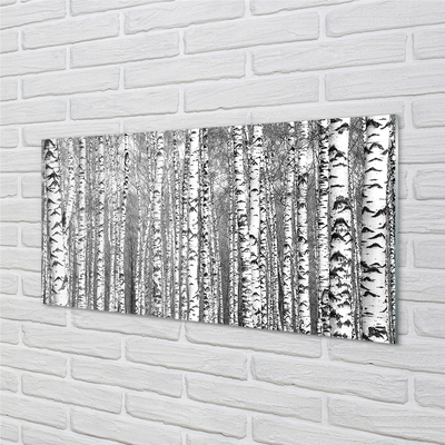 Quadro in vetro Alberi in bianco e nero