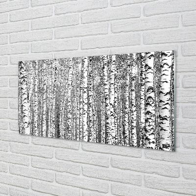 Quadro in vetro Alberi in bianco e nero