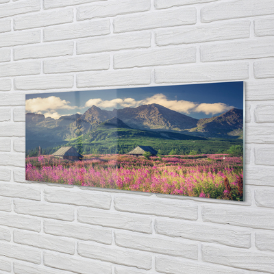 Quadro di vetro Campi di montagna cottage