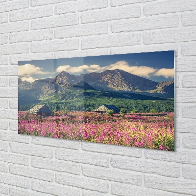 Quadro di vetro Campi di montagna cottage