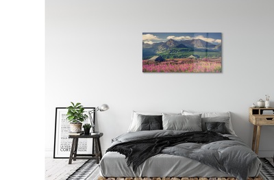 Quadro di vetro Campi di montagna cottage