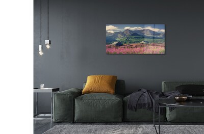 Quadro di vetro Campi di montagna cottage