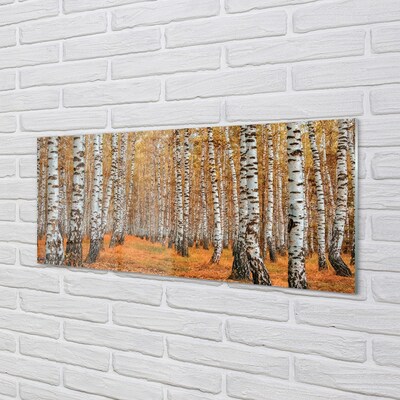 Quadro su vetro Alberi d'autunno