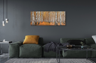 Quadro su vetro Alberi d'autunno