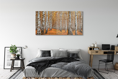 Quadro su vetro Alberi d'autunno