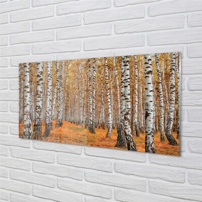 Quadro su vetro Alberi d'autunno