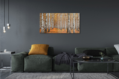 Quadro su vetro Alberi d'autunno