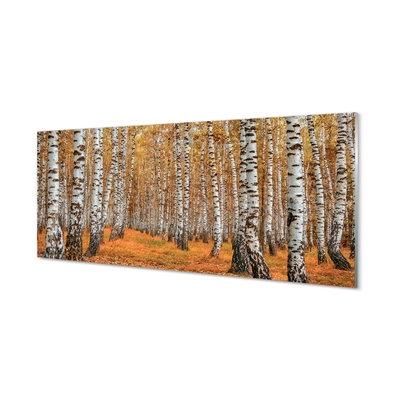 Quadro su vetro Alberi d'autunno