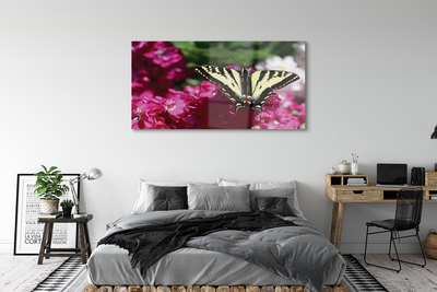 Quadro in vetro Fiori di farfalla