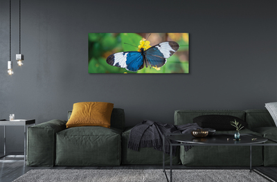 Quadro su vetro Farfalla colorata sui fiori