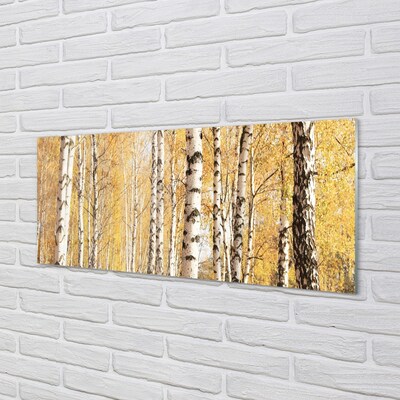 Quadro in vetro Alberi d'autunno