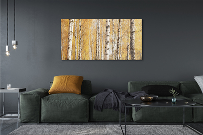 Quadro in vetro Alberi d'autunno
