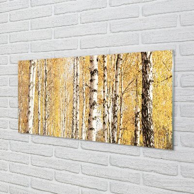 Quadro in vetro Alberi d'autunno