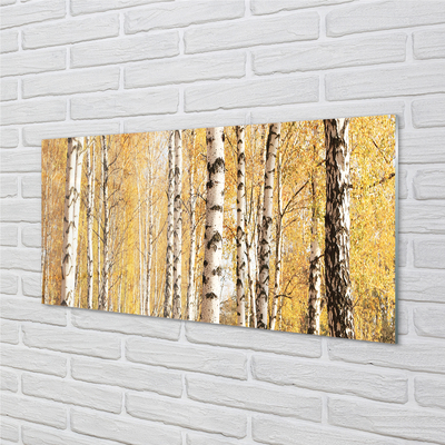 Quadro in vetro Alberi d'autunno