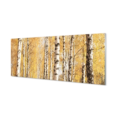 Quadro in vetro Alberi d'autunno