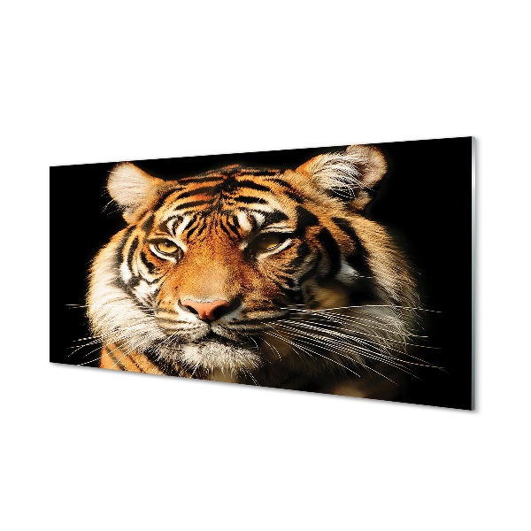 Quadro vetro Tigre