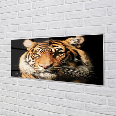 Quadro vetro Tigre