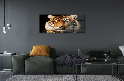 Quadro vetro Tigre