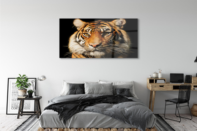 Quadro vetro Tigre