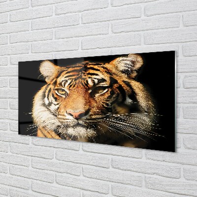 Quadro vetro Tigre