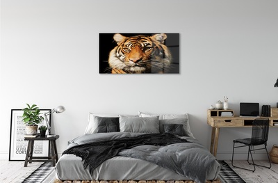 Quadro vetro Tigre