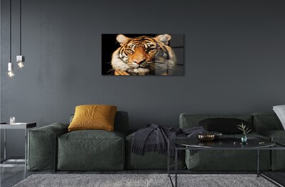 Quadro vetro Tigre