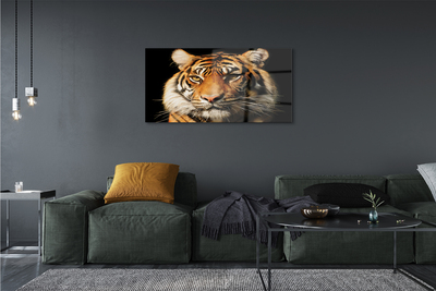 Quadro vetro Tigre